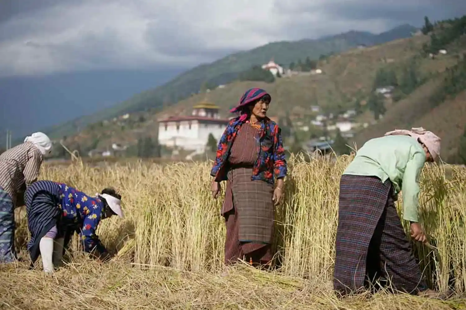 Rural Life In Bhutan